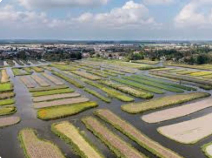 Ferienhaus Britt Met Grote Tuin En Veel Privacy *